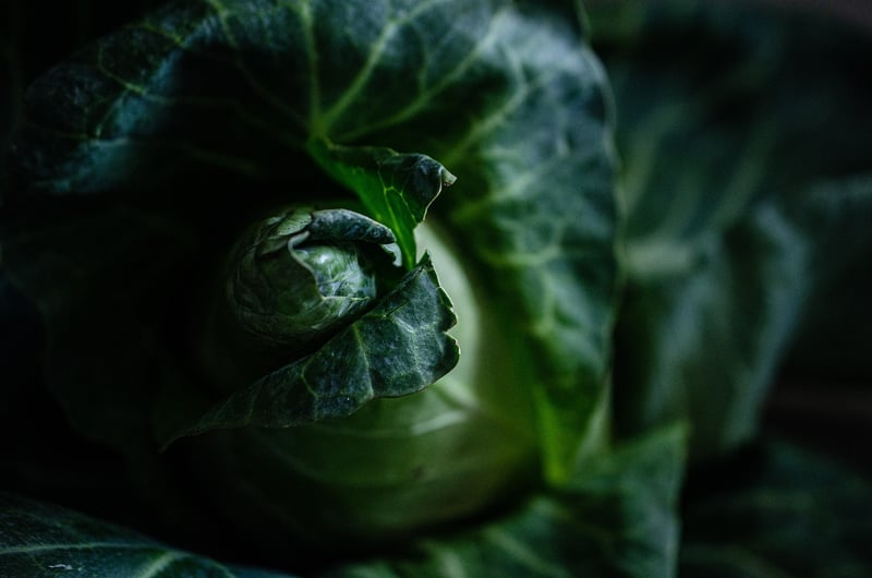 Farm-to-Table Vegetables